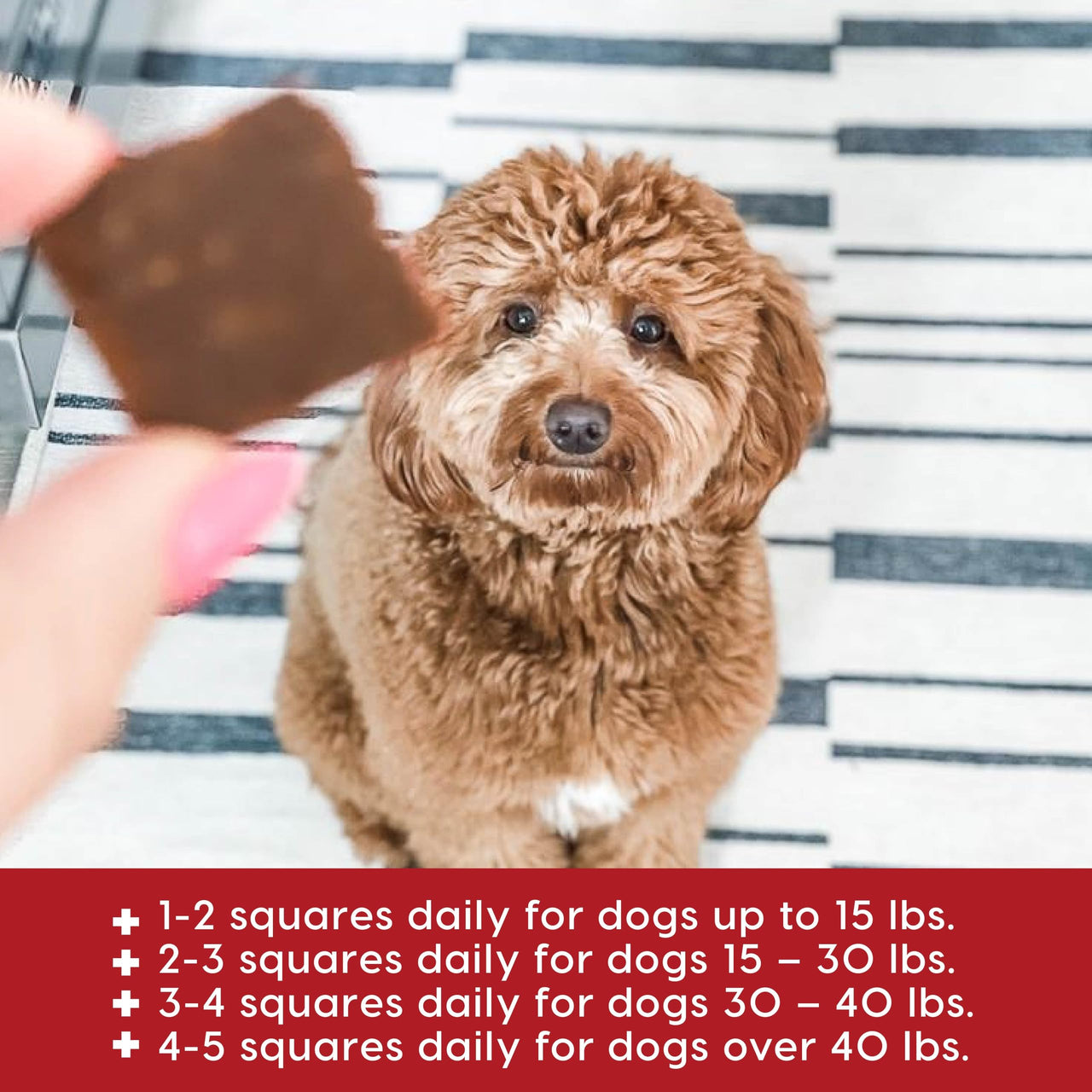 Ark Naturals Joint Rescue Dog Chew, Beef Flavor, Joint Supplement with Glucosamine & Chondroitin, 1 Pack 9 Ounce (Pack of 1)