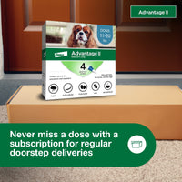 Advantage II Medium Dog Vet-Recommended Flea Treatment & Prevention | Dogs 11-20 lbs. | 4-Month Supply 4-Pack