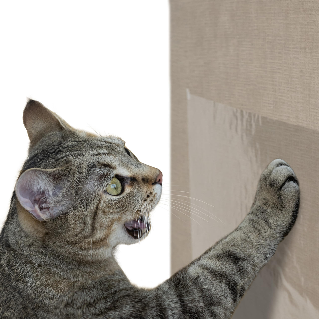 Kitty City XL Wide Corrugate Cat Scratchers 3 Pieces, Cat Scratching, Cat Scratch Pad, Door Clips, Furniture Protectors from Cat Scratching 12-Pack Double Sided Tape Protector