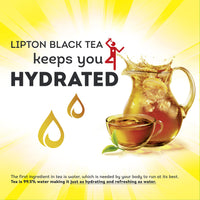 Lipton Family Sized Iced Black Tea, Caffeinated, Tea Bags 48 Count Box