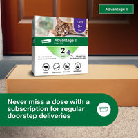 Advantage II Large Cat Vet-Recommended Flea Treatment & Prevention | Cats Over 9 lbs. | 2-Month Supply 2-Pack Large Cat only
