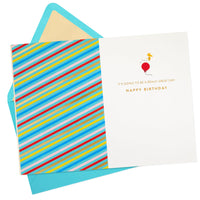 Hallmark Signature Peanuts Birthday Card (Charlie Brown and Friends) Charlie Brown and Friends