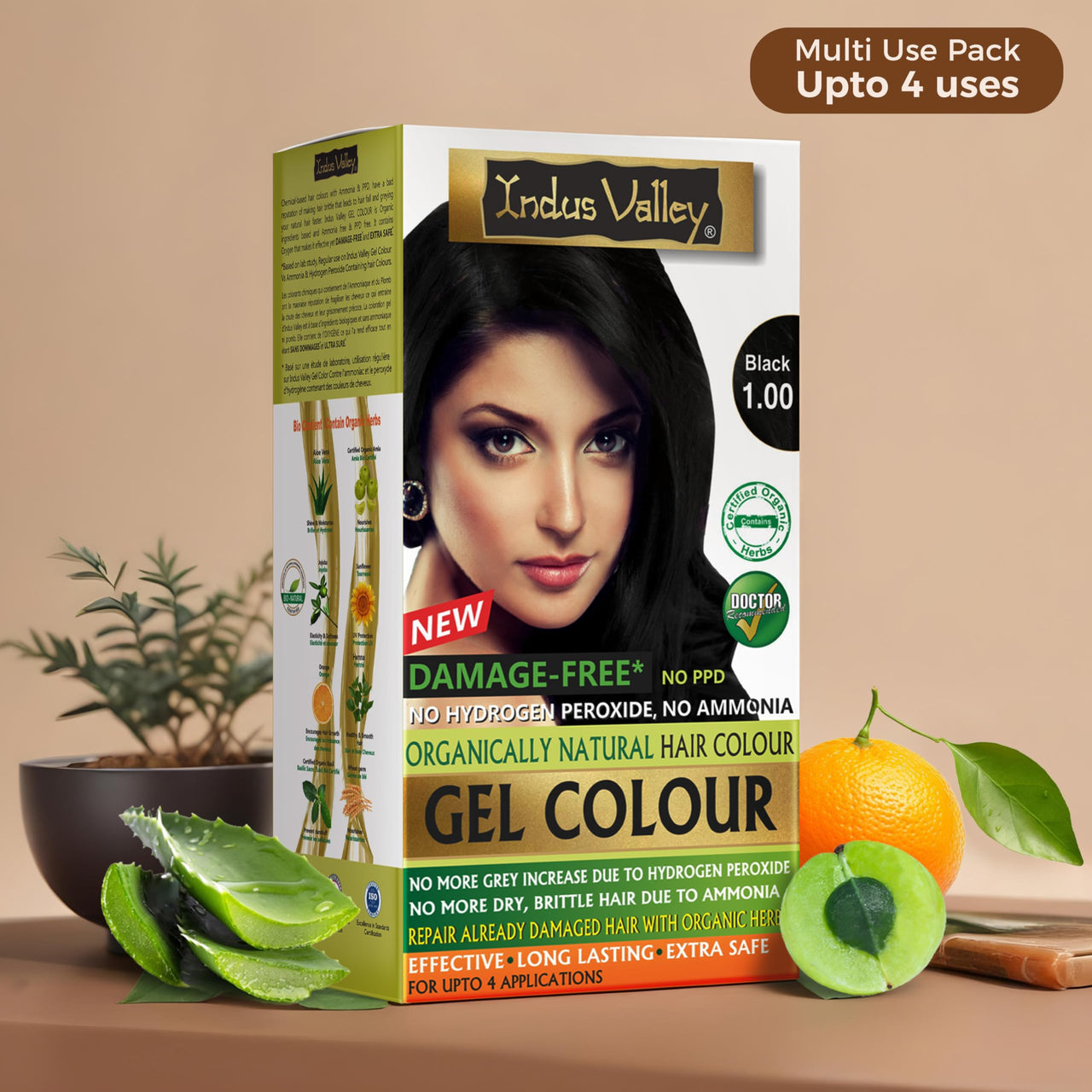 INDUS VALLEY Organically Natural Damage Free Gel Colour Black Herbal Hair Colour with Deep Nourishing Hair Eaze Spa 175ml For Hair Care (220g + 175ml)