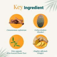 Himalaya Rumalaya Gel| Quick Relief Formula For Body Pain| Back Pain, Knee Pain, Muscle Pain, Sprains| Ayurvedic | 30G