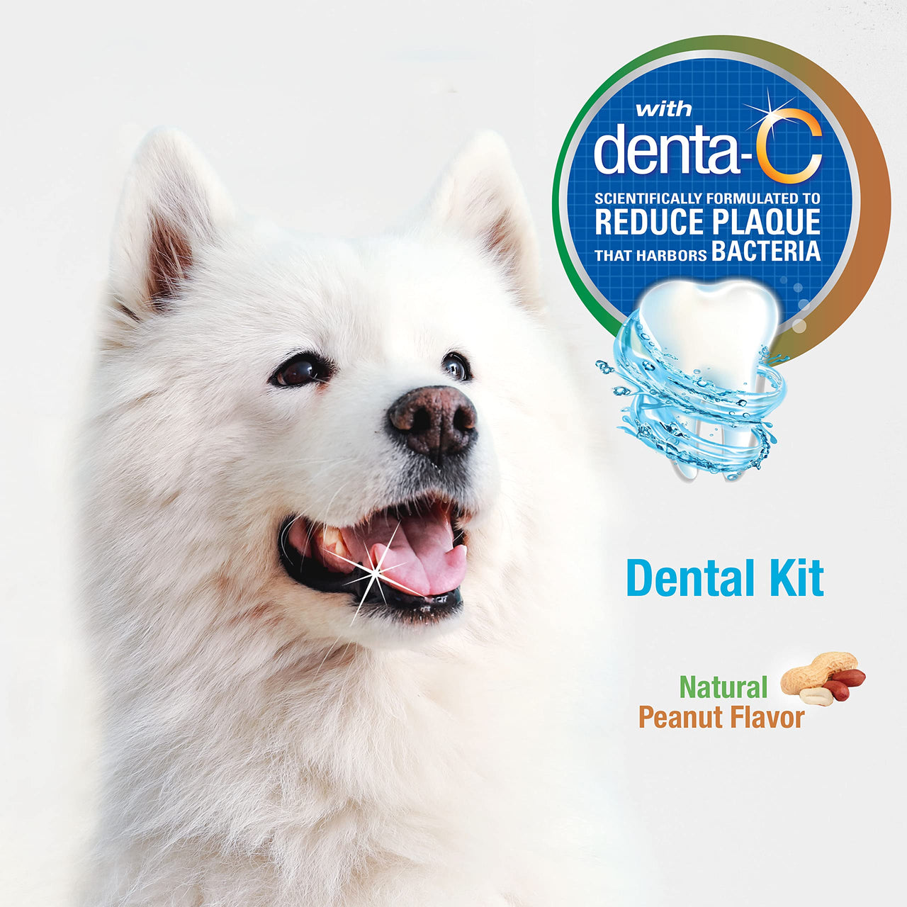 Nylabone Advanced Oral Care Natural Dog Dental Kit Peanut Flavor 2.5 oz. Peanut Butter 1 Count (Pack of 1)