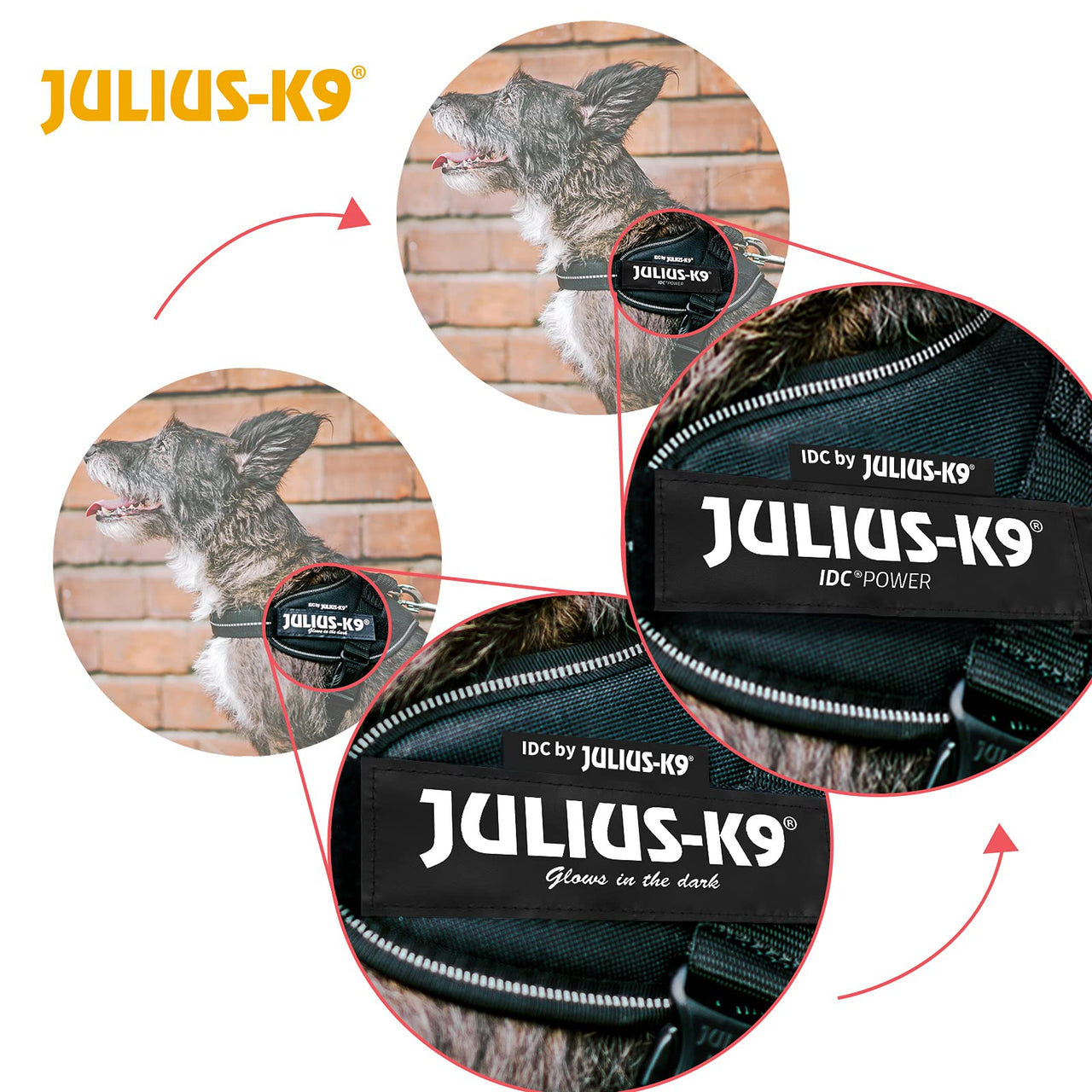 Julius-K9 IDC Powerharness, Size: 2XL/3, Dark Purple