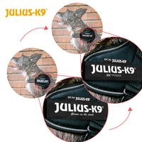 Julius-K9 IDC Powerharness, Size: 2XL/3, Dark Purple
