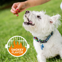 DOGSWELL 100% Grilled Meat Dog Treats, Made in The USA with Glucosamine, Chondroitin & New Zealand Green Mussel for Healthy Hips, 20 oz Duck 1.25 Pound (Pack of 1)