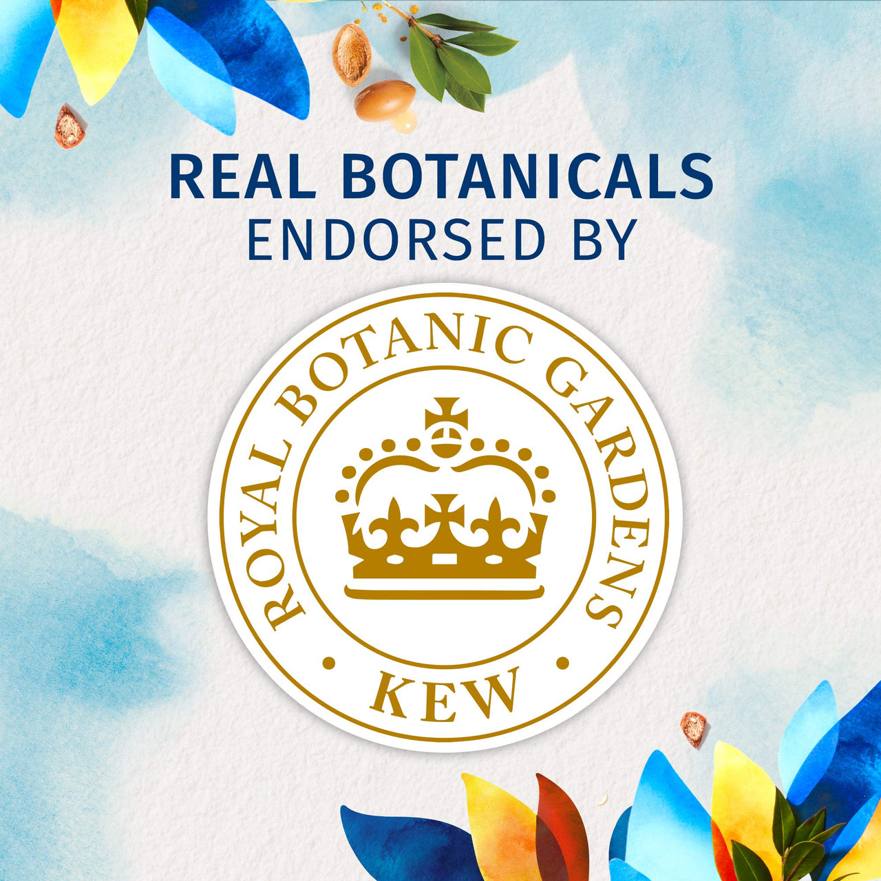 Herbal Essences bio:renew Argan Oil of Morocco CONDITIONER, 400ml | No Parabens No Colourants & Herbal Essences bio:renew Argan Oil of Morocco SHAMPOO, 400ml