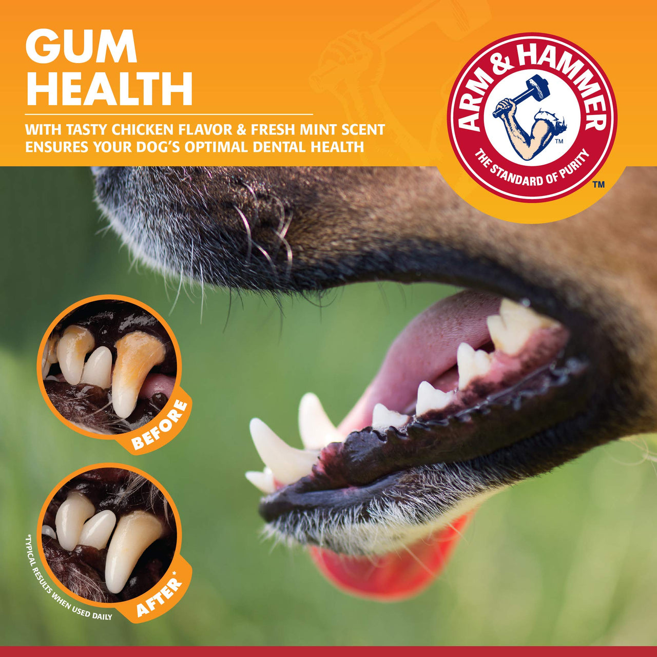 Arm & Hammer for Pets Clinical Care Dental Gum Health Kit for Dogs | Contains Toothpaste, Toothbrush & Fingerbrush | Soothes Inflamed Gums, 3-Piece Kit, Chicken Flavor - 2 Pack