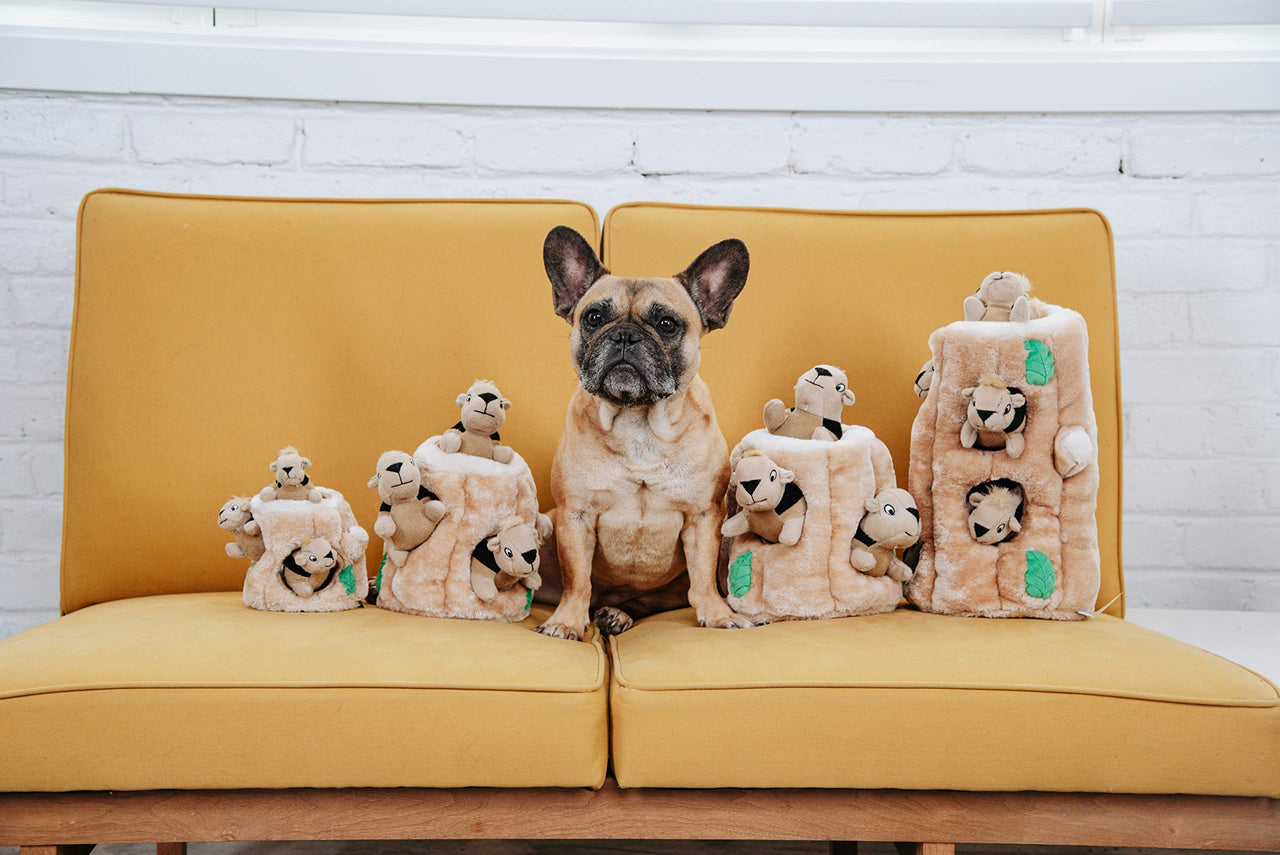 Outward Hound Hide A Squirrel Plush Dog Toy Puzzle, Large