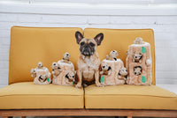 Outward Hound Hide A Squirrel Plush Dog Toy Puzzle, Large