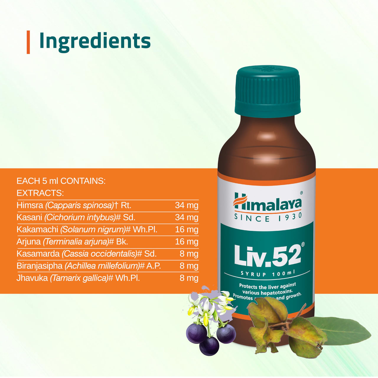 Himalaya Liv.52 Syrup - 100 ml