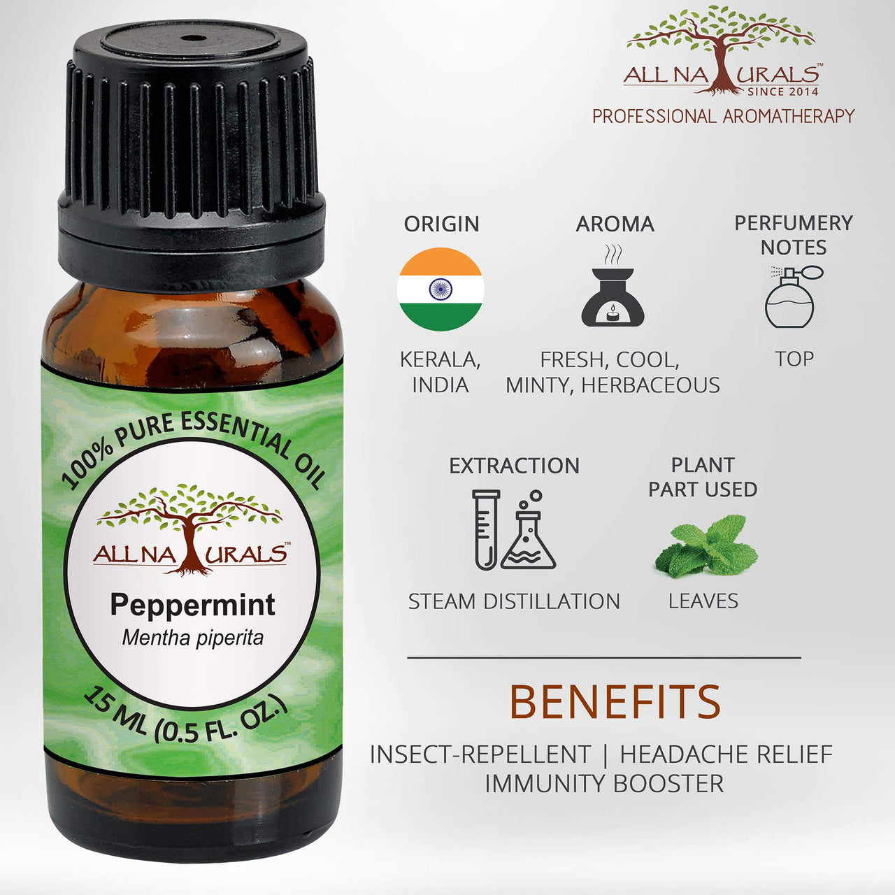 All Naturals Peppermint Essential Oil (UP, India) 100% Pure with Strong Lasting Aroma to keep cars rats and insects free | For Hair Growth & Pain Relief - 15 mL