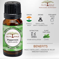 All Naturals Peppermint Essential Oil (UP, India) 100% Pure with Strong Lasting Aroma to keep cars rats and insects free | For Hair Growth & Pain Relief - 15 mL