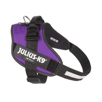 Julius-K9 IDC Powerharness, Size: 2XL/3, Dark Purple