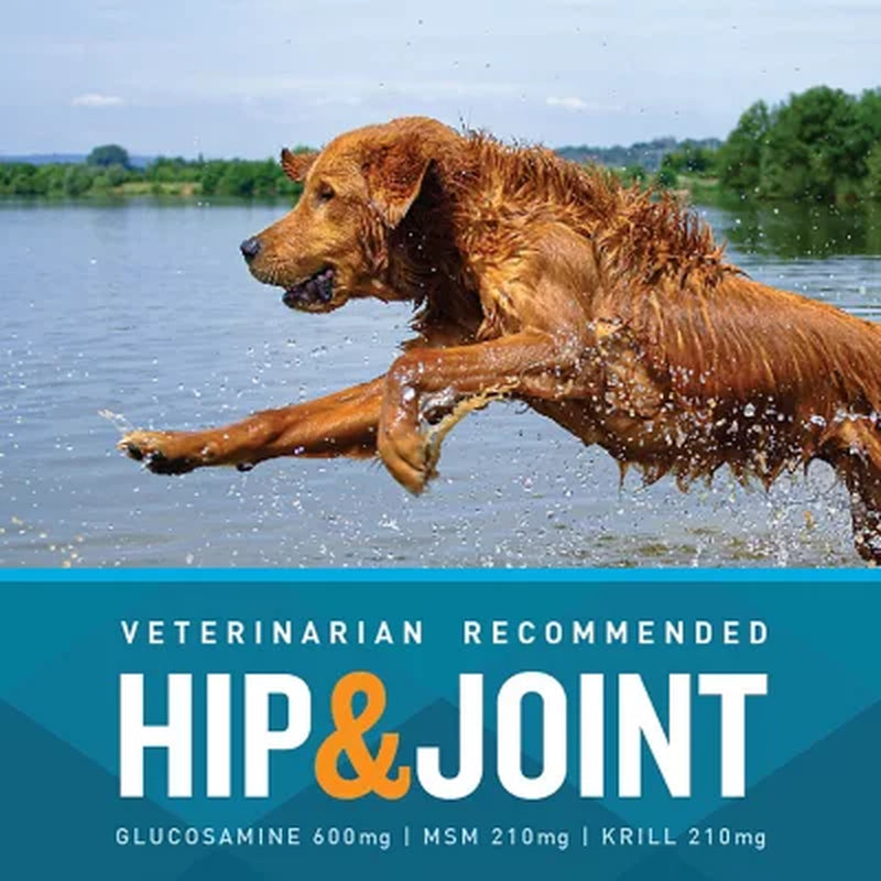 VETIQ Maximum Strength Hip & Joint Soft Dog Chews, Chicken Flavored, 180 Ct.