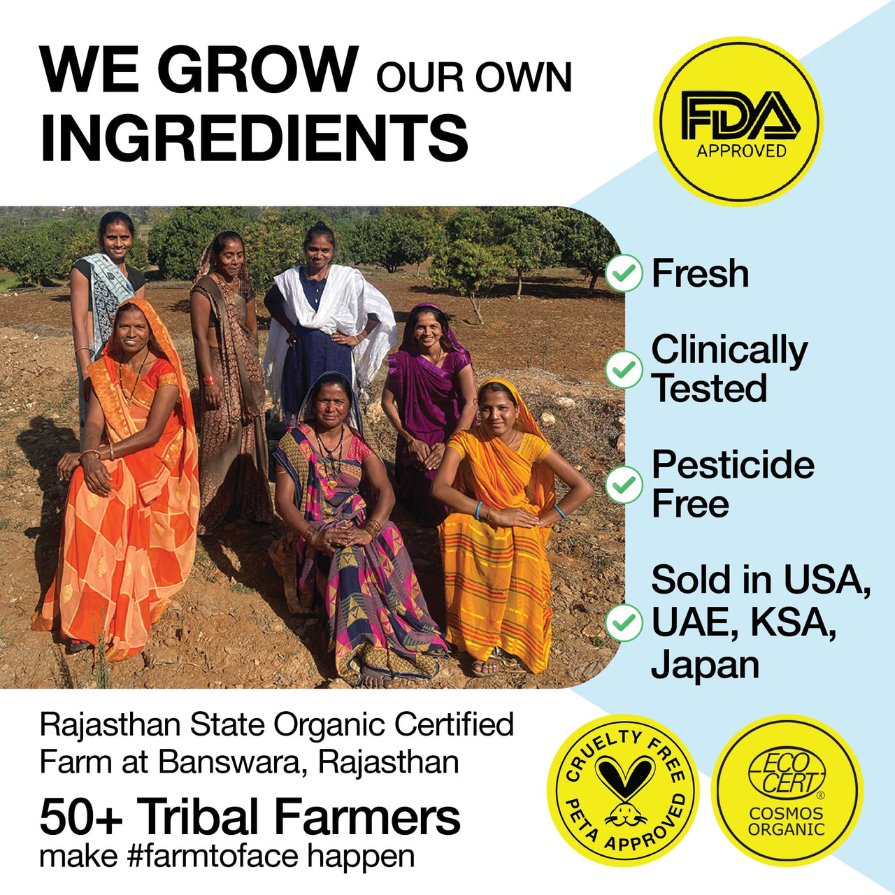 Soulflower Rosemary Mint Light Hair Oil | Hair Growth, Hair Fall Control, Dandruff & Split Ends | With Amla, Argan, Castor | Cooling Scalp Oil for Men & Women | 100% Natural & Organic | 225ml