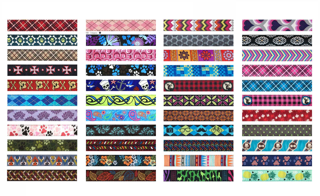 RC Pets 1 Inch Adjustable Dog Clip Collar, Large, Pitter Patter Pink