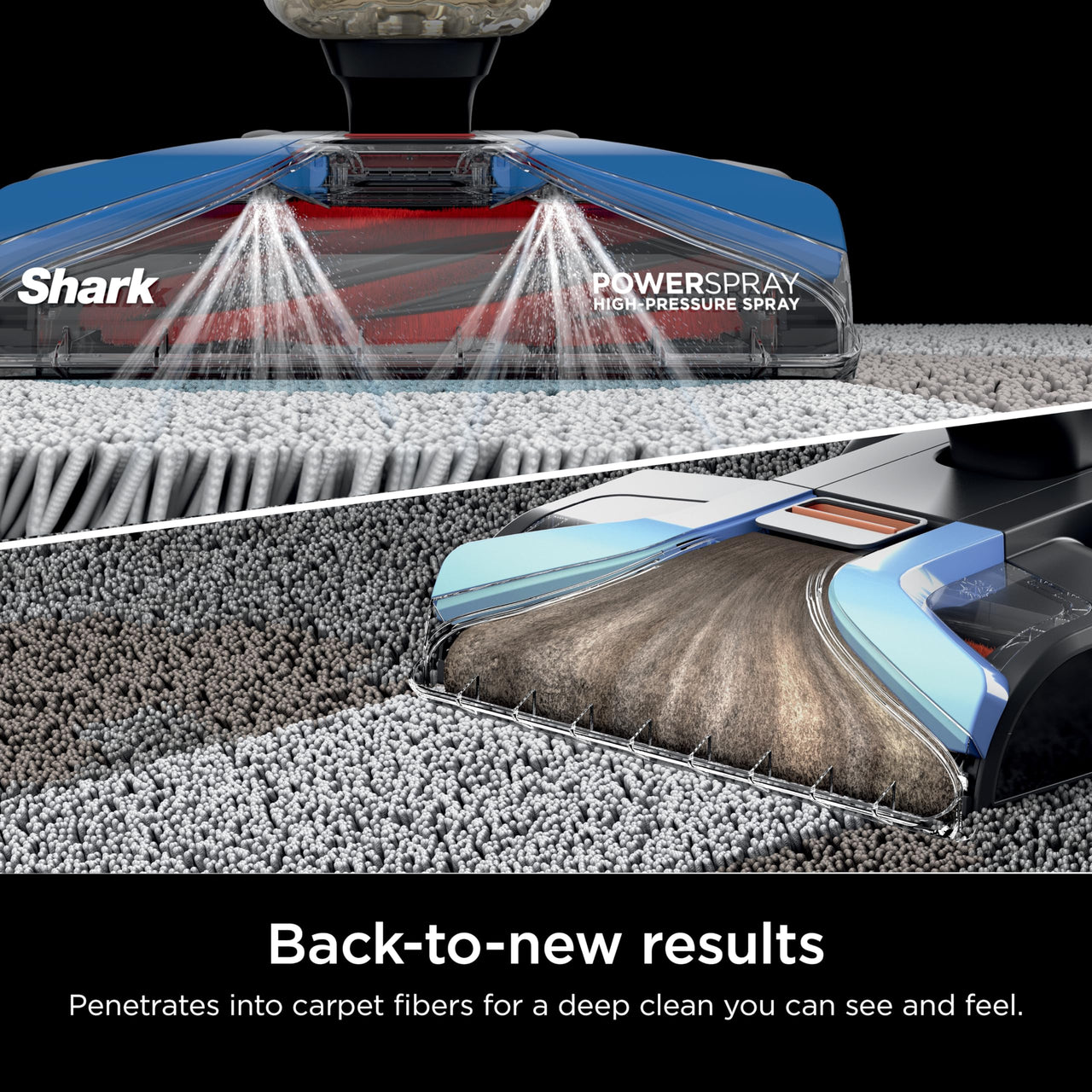 Shark EX201 CarpetXpert Upright Carpet, Area Rug & Upholstery Cleaner with StainStriker, Built-in Spot & Stain Cleaner, Perfect for Pets, Deep Cleaning & Tough Stain Removal, Carpet Shampooer, Cyan Shark CarpetXpert with StainStriker