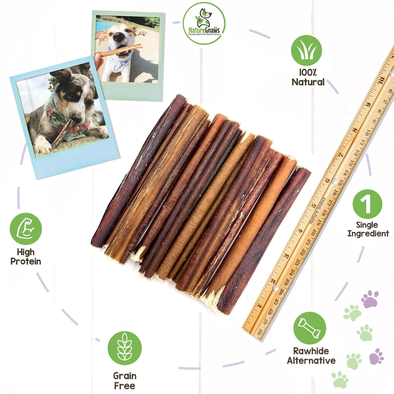 Nature Gnaws Bully Sticks for Large Dogs - Premium Natural Beef Dental Bones - Thick Long Lasting Dog Chew Treats for Aggressive Chewers - Rawhide Free 1 Count (Pack of 1)