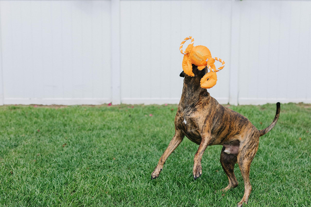 Jolly Pets Jolly Tug-a-Mal Giraffe Tug/Squeak Toy, Large