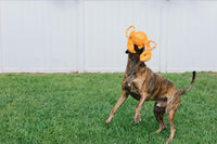 Jolly Pets Jolly Tug-a-Mal Giraffe Tug/Squeak Toy, Large