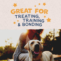 Natural Balance Limited Ingredient Rewards Crunchy Biscuits, Grain-Free Dog Treats for Adult Dogs of All Breeds, Duck Recipe, 14 Ounce (Pack of 1) 14 Ounce (Pack of 1)