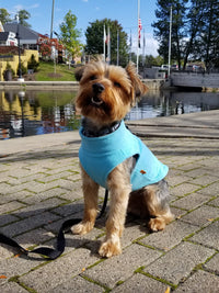 Gooby Zip Up Fleece Dog Sweater - Turquoise, Small - Warm Pullover Fleece Step-in Dog Jacket with Dual D Ring Leash - Winter Small Dog Sweater - Dog Clothes for Small Dogs Boy and Medium Dogs Small chest (~13.5