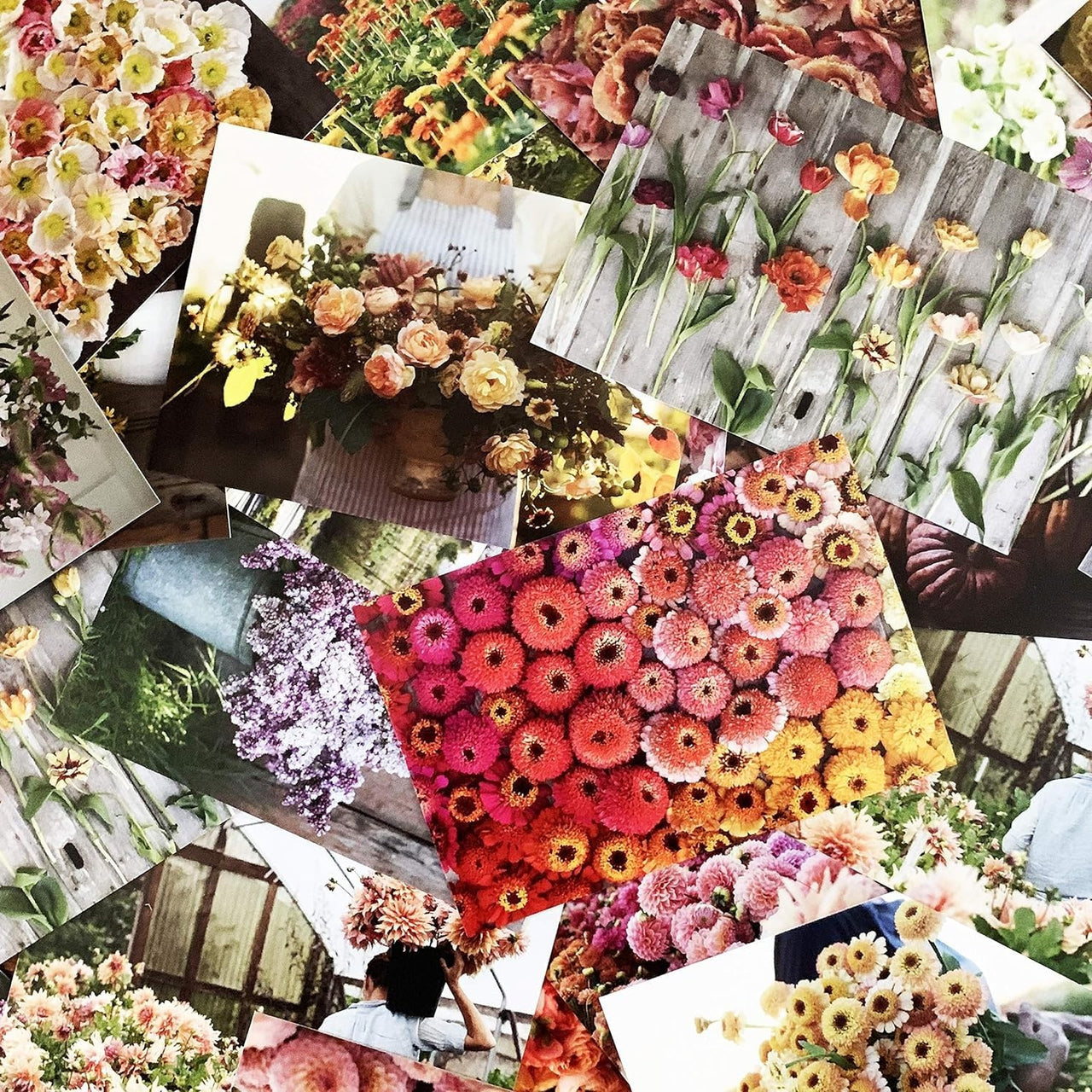 Floret Farm's  Cut Flower Garden: 100 Postcards (Floral Postcards, Botanical Gifts) Floret Farm Cut Flowers