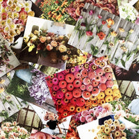 Floret Farm's  Cut Flower Garden: 100 Postcards (Floral Postcards, Botanical Gifts) Floret Farm Cut Flowers