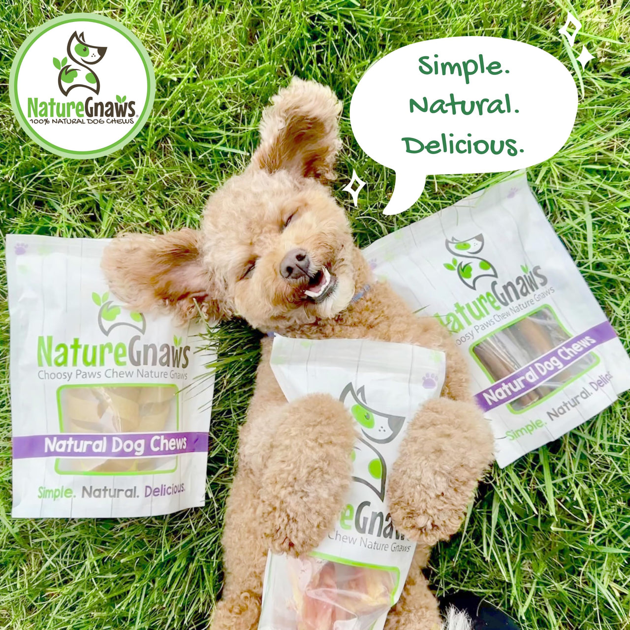 Nature Gnaws USA Beef Tendons for Dogs – Single Ingredient Natural Dental Chews - Long Lasting and Rawhide Free Dog Treats, 8.00 Ounce (Pack of 1)