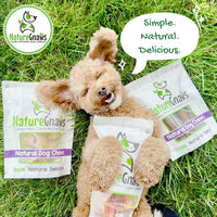 Nature Gnaws USA Beef Tendons for Dogs – Single Ingredient Natural Dental Chews - Long Lasting and Rawhide Free Dog Treats, 8.00 Ounce (Pack of 1)