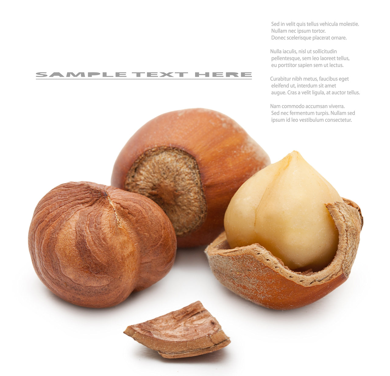 Berries and Nuts Jumbo Turkish Hazel Nuts 400 Grams | Blanched Hazel Nut Kernels without skin | 2 Pack of 200 Grams.