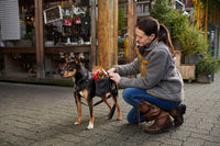 RC Pets 5/8 Inch Adjustable Dog Clip Collar, X-Small, Bones X-Small - 0.6