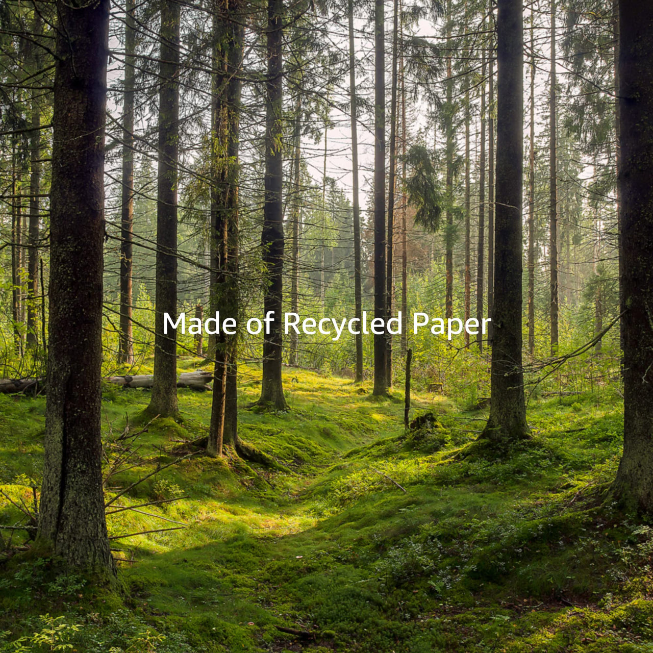 Basics Photo Paper, Semi Glossy, 4 x 6 Inch, Pack of 100 Sheets, 300g/m², White