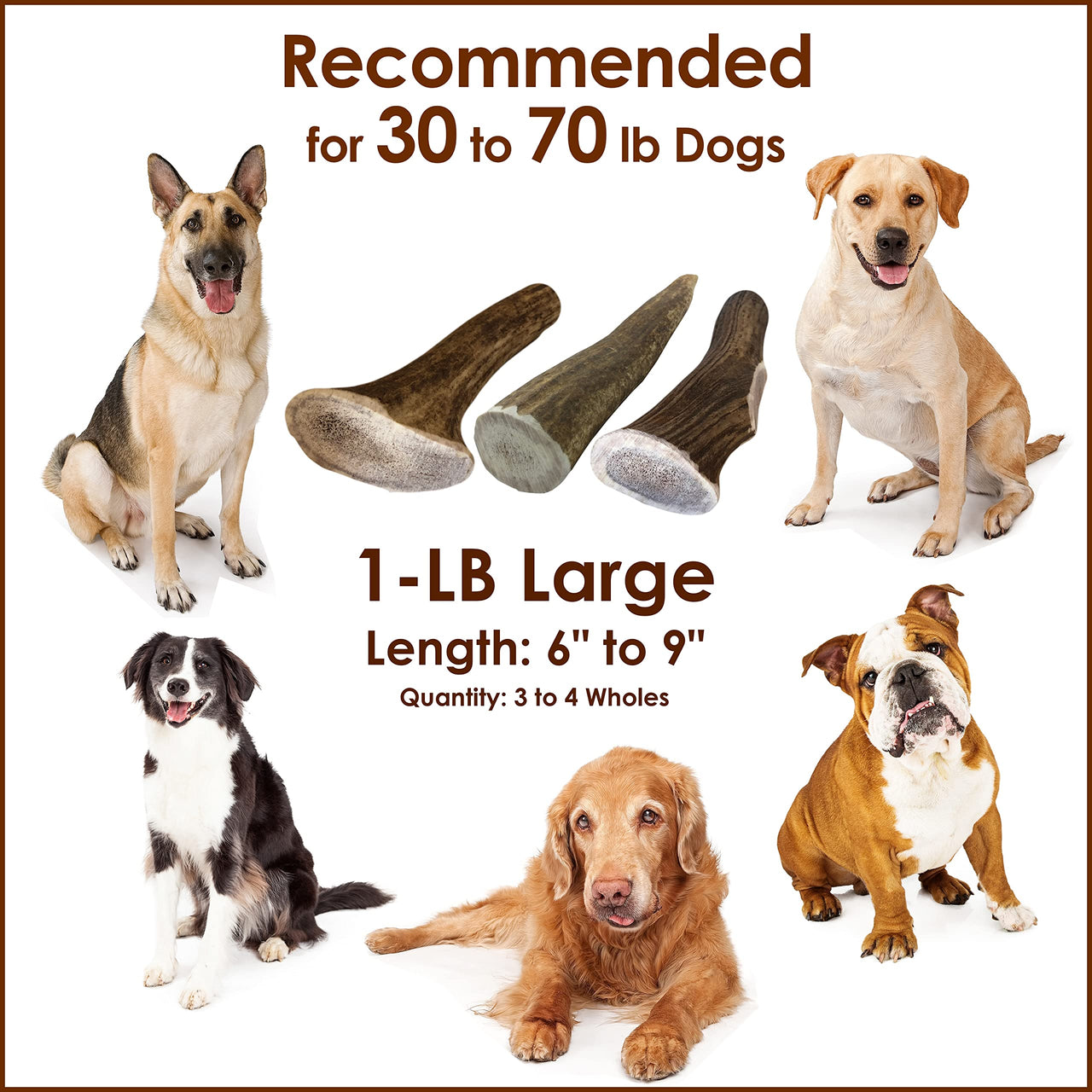 Elk Antler Chews for Dogs | Naturally Shed USA Collected Elk Antlers | All Natural A-Grade Premium Elk Antler Dog Chews | Product of USA, 1-LB Large Cuts Large (Pack of 1-LB)