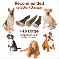 Elk Antler Chews for Dogs | Naturally Shed USA Collected Elk Antlers | All Natural A-Grade Premium Elk Antler Dog Chews | Product of USA, 1-LB Large Cuts Large (Pack of 1-LB)