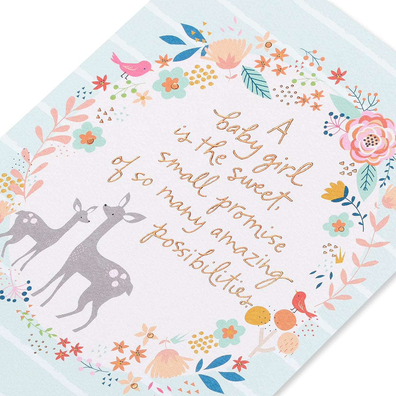 American Greetings Baby Girl Card (Lifetime of Love) Lifetime of Love