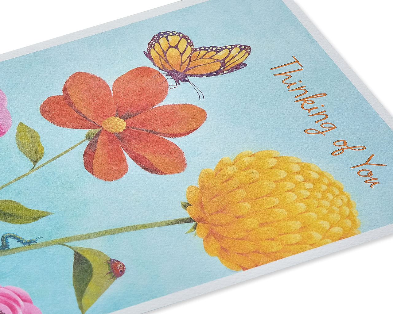 American Greetings Thinking of You Card (Brighten Up Your Day) Brighten Up Your Day
