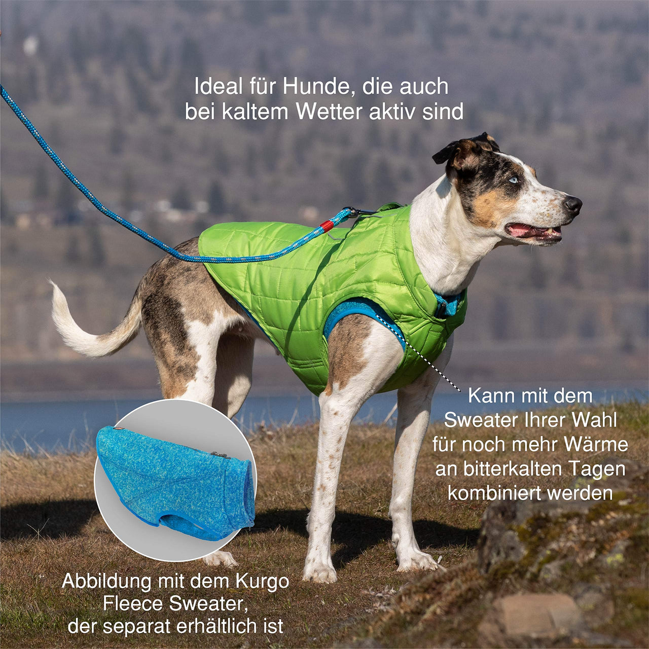 Kurgo Loft Dog Jacket, Reversible Dog Coat, Wear with Harness or Sweater, Water Resistant, Reflective, Winter Coat For Small Dogs (Deep Violet, XS) Extra Small Deep Violet/Charcoal