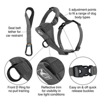 Kurgo Dog Harness | Pet Walking Harness | No Pull Harness Front Clip Feature for Training Included | Car Seat Belt | Tru-Fit Quick Release Style | Large | Grey