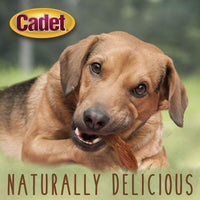 Cadet Gourmet Duck Breast Dog Treats - Healthy & Natural Dog Training Treats for Small & Large Dogs - Inspected & Tested in USA (28 oz.) 1.75 Pound (Pack of 1)