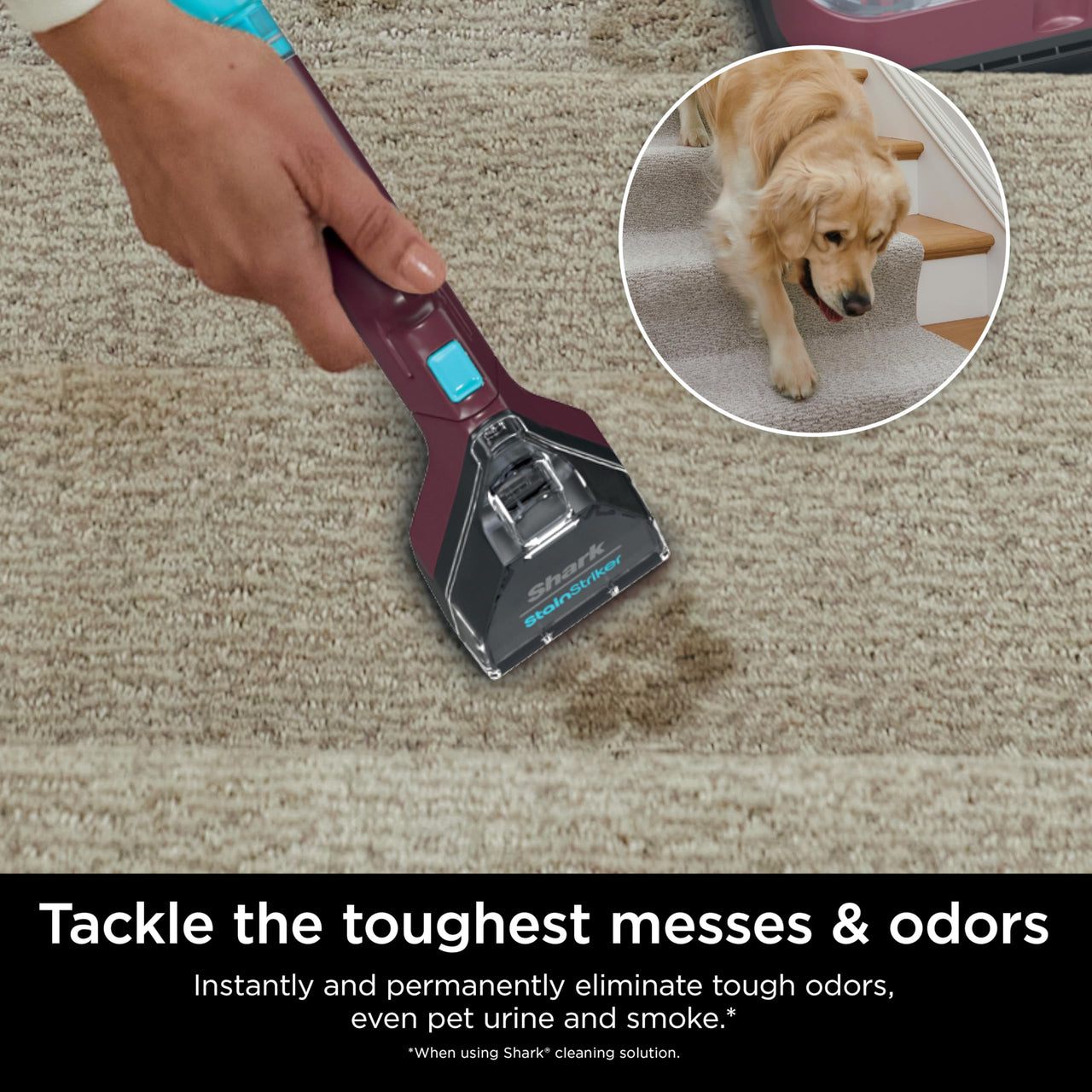 Shark StainStriker HairPro. Portable Carpet, Area Rug & Upholstery Spot & Stain Cleaner, Hair & Odor Eliminator for Carpets, Area Rugs, Upholstery & Cars. Perfect for Pets, Copper, PX251 Shark StainStriker w/ HairPro Technology
