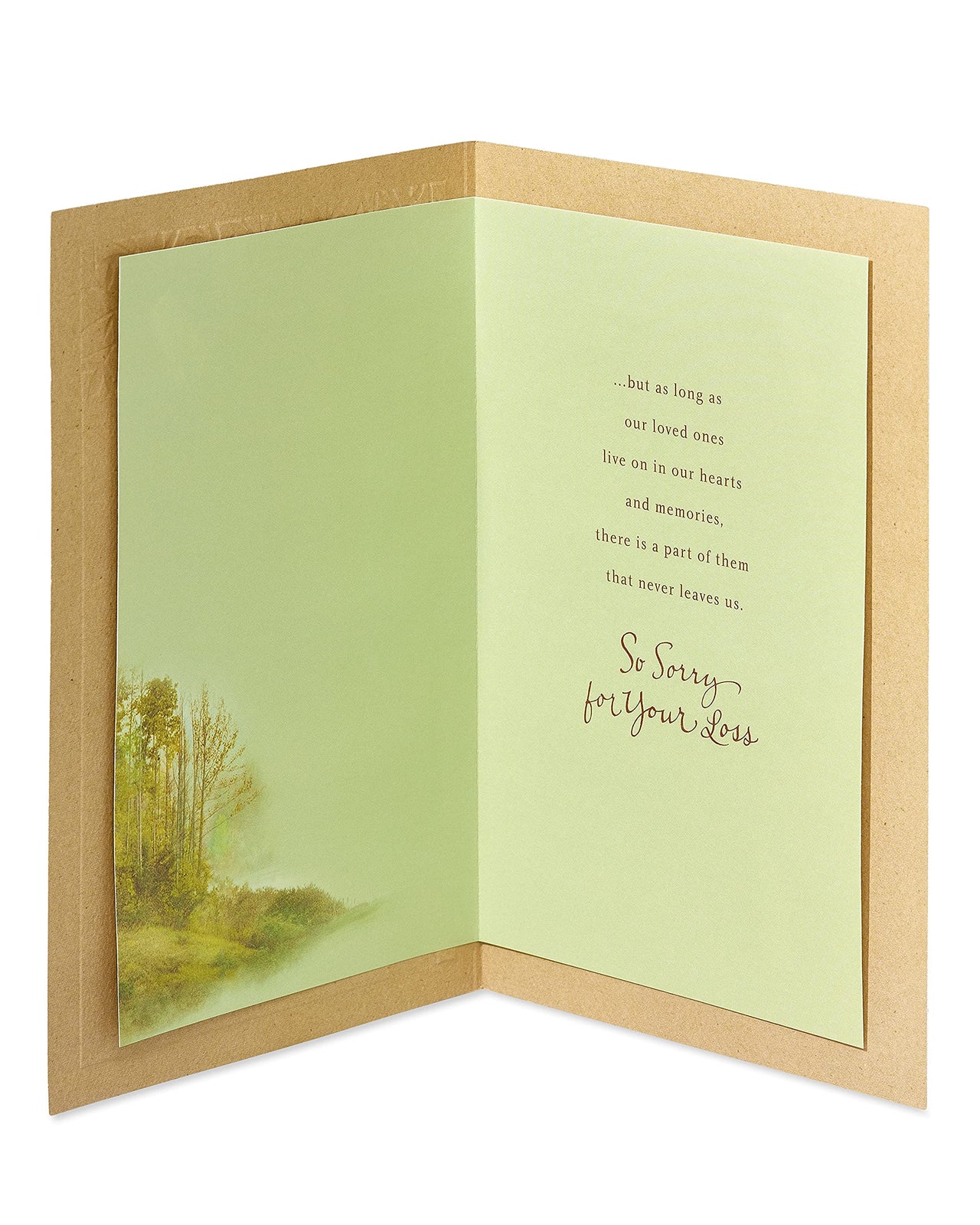 American Greetings Sympathy Card for Loss of Father (Trees) Trees