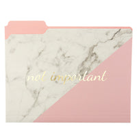 Graphique Blush Marble File Folder Set – File Set Includes 9 Folders and 3 Unique 