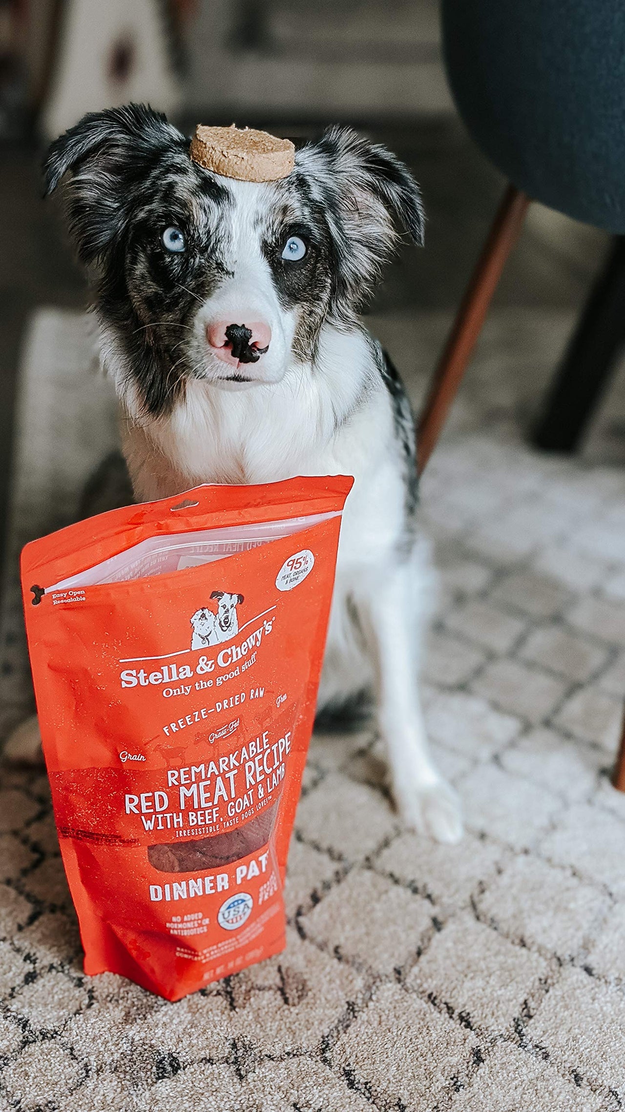 Stella & Chewy's  Freeze Dried Raw Dinner Patties – Grain Free Dog Food, Protein Rich Remarkable Red Meat Recipe – 14 oz Bag Red Meat Blend 14 Ounce (Pack of 1)