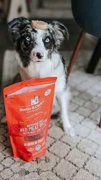 Stella & Chewy's  Freeze Dried Raw Dinner Patties – Grain Free Dog Food, Protein Rich Remarkable Red Meat Recipe – 14 oz Bag Red Meat Blend 14 Ounce (Pack of 1)