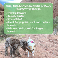 Nature Gnaws USA Turkey Tendons for Dogs - Premium Natural Chew Treats - Delicious Reward Snack for Small Medium & Large Dogs - Made in The USA 4 oz Bag 1 Pound (Pack of 1)
