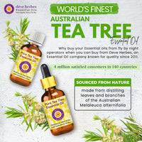 Deve Herbes Tea Tree Essential Oil (Melaleuca alternifolia) Pure | Non-Sticky | Non-greasy | Lightweight | Men & Women | All Skin Types | Steam Distilled 30ml